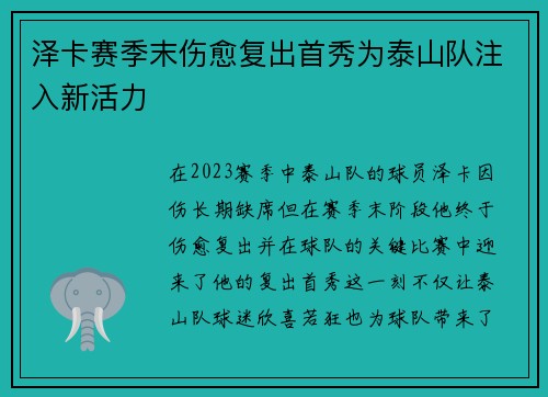 泽卡赛季末伤愈复出首秀为泰山队注入新活力